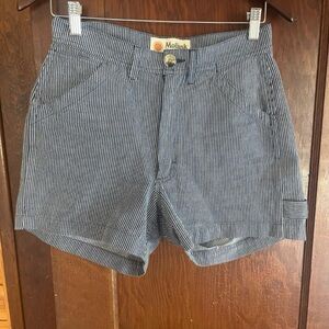 Mollusk Blue Striped Shorts